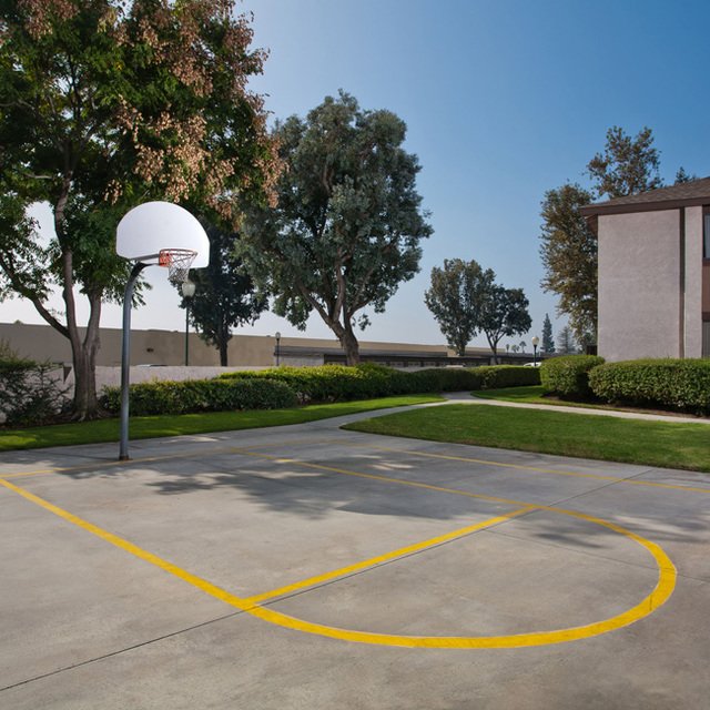 Basketball Court