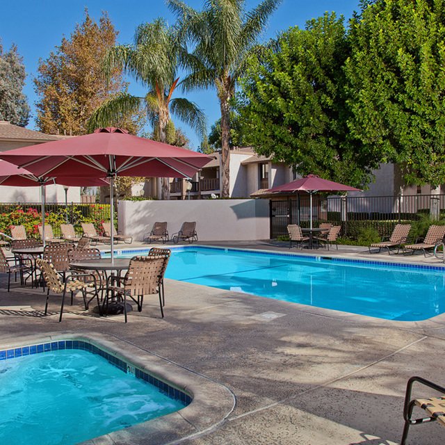 Pool and Spa