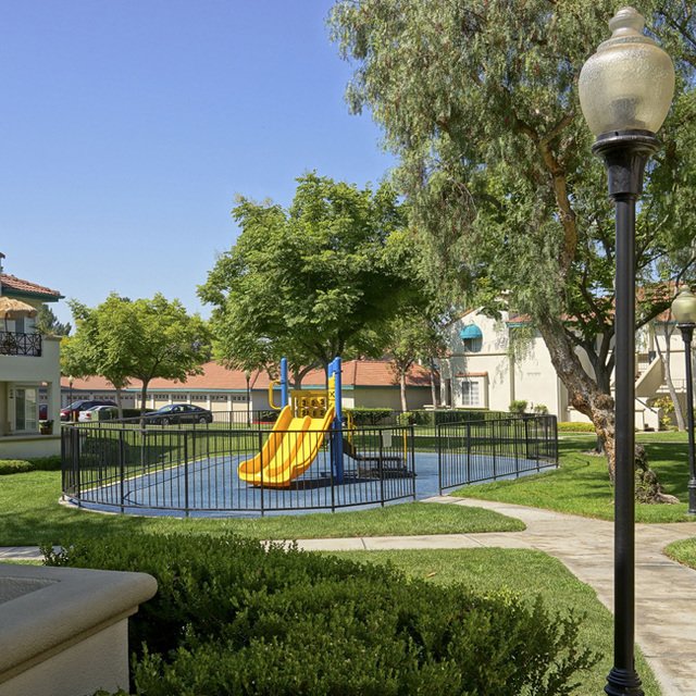 Play Area
