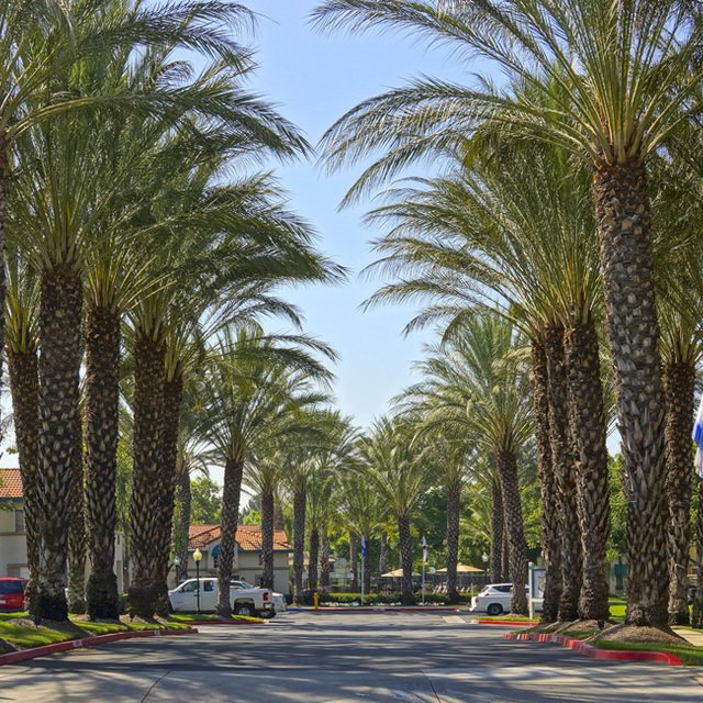 Community Entrance