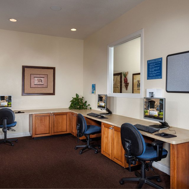Carmel at Woodcreek West Apartments - Business center