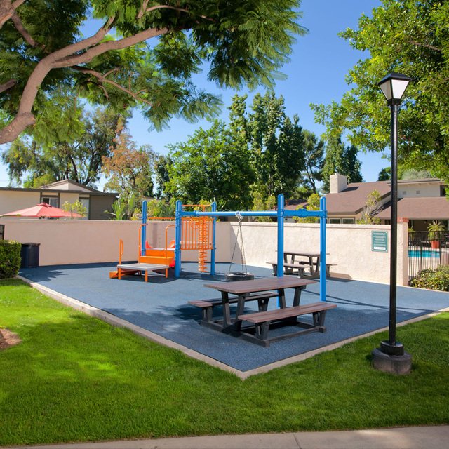 Play Area