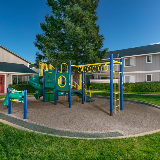 Play Area